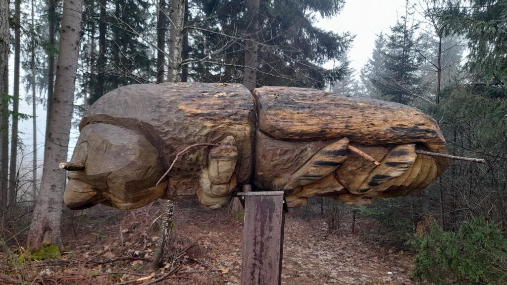 Borkenkäfer aus Holz