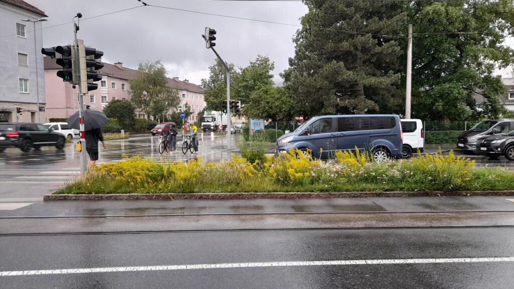 Blumenwiese Mitten in der Stadt