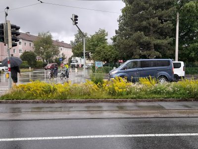 Blumenwiese Mitten in der Stadt